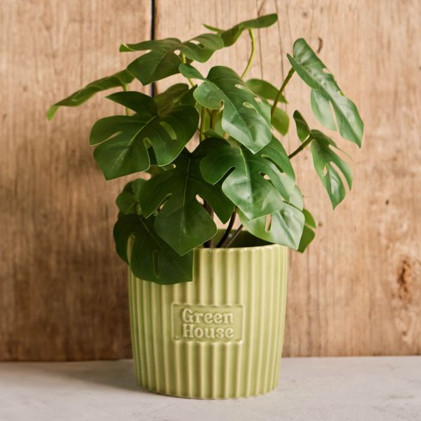 Green House Large Plant Pot